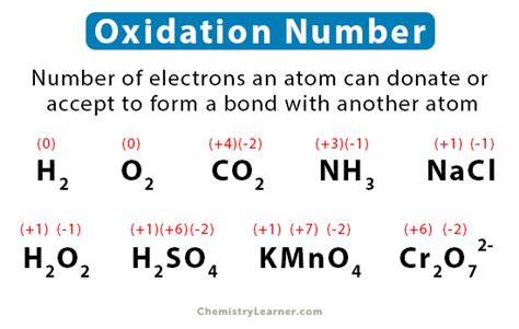 How to calculate the oxidation number of either species in CuS .